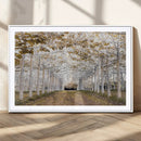 Forest Grove Wall Art | Serene Pathway Canvas Print | Ready