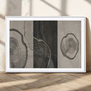 Minimalist Tree Rings Wall Art | Modern Abstract Canvas