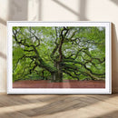 Framed Angel Oak Tree Wall Art - 3-Panel Canvas Prints,