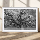 Black White Angel Oak Tree Wall Art - Timeless