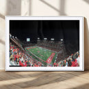 Houston Cougars Football Team Print - Houston TDECU Stadium