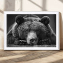 Resting Grizzly 399 Bear Canvas Print | Ready to Hang Wall