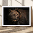 Wild Grizzly 399 Bear Canvas Wall Art Print, Bear Animal by MyGreatCanvas | Canvas Wall Art Prints | Photo Prints & Wall Decor