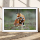 Heartwarming Fox and Baby Cub Wall Art | Ready to Hang