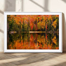 Forest Reflection Art | Autumn Forest Reflection Wall Art | by MyGreatCanvas | Canvas Wall Art Prints | Photo Prints & Wall Decor