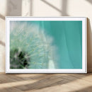 DANDELION Flower Wall Art Canvas Print, Canvas Dandelion by MyGreatCanvas | Canvas Wall Art Prints | Photo Prints & Wall Decor