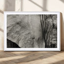 Elephant Wall Art Canvas Print