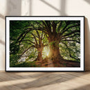 Majestic Ancient Tree Wall Art, NatureCanvas Print, Woodland by MyGreatCanvas | Canvas Wall Art Prints | Photo Prints & Wall Decor