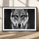 Black and White Wild Wolf Wall Art Canvas Print