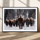Bison Wall Art Canvas Print- Bison Herd Canvas Wall Art –