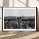 Black and White Highland Cow Canvas Wall Art, Longhorn by MyGreatCanvas | Canvas Wall Art Prints | Photo Prints & Wall Decor