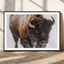 Bison Wall Art Canvas Print For Farmhouse, Wild Animal Wall by MyGreatCanvas | Canvas Wall Art Prints | Photo Prints & Wall Decor