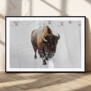 Bison Winter Wall Art Canvas Print For Farmhouse Decor