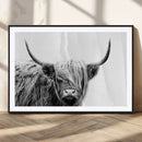 Black White Scottish Highland Cow Cattle Art Print Farmhouse