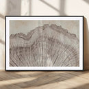 Tree Ring Wall Art Triptych, Rustic Wood Ring Canvas Print,