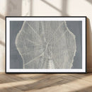 Abstract Tree Ring Wall Art Canvas Print – Nature-Inspired,