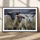Charming Sheep Portrait Wall Art – Trio of Woolly Companions by MyGreatCanvas | Canvas Wall Art Prints | Photo Prints & Wall Decor