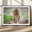 Leopard on the Prowl - Stunning Large Framed Leopard Wall