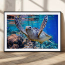 Underwater Sea Turtle Wall Art Canvas Print – Vibrant Ocean