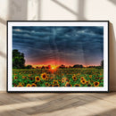 Golden Sunflower Field at Sunset – Breathtaking Sky and