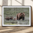 Wildlife Photography of 399 Grizzly Bear Cubs | Queen of the by MyGreatCanvas | Canvas Wall Art Prints | Photo Prints & Wall Decor