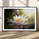 Lotus Flower Wall Art Canvas Print, Water Lily Large Wall