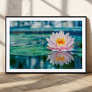 Lotus Flower Wall Art Canvas Print, Water Lily Large Wall