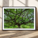 Oak Tree Wall Art Print, Forest Canvas Wall Art for Home and by MyGreatCanvas | Canvas Wall Art Prints | Photo Prints & Wall Decor