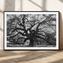 Ancient Oak Wall Art Canvas Print – Gnarled Tree Twisted by MyGreatCanvas | Canvas Wall Art Prints | Photo Prints & Wall Decor