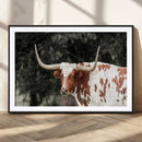Texas Longhorn Wall Art Canvas Print – Framed Spotted Bull
