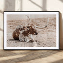Texas Longhorn Wall Art Canvas Print – Framed Resting Bull by MyGreatCanvas | Canvas Wall Art Prints | Photo Prints & Wall Decor