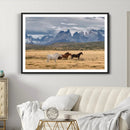 Grand Teton Park Wild Horses Wall Art Canvas Print – Framed