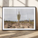 Saguaro Cactus Wall Art – Framed Desert Canvas Artwork, by MyGreatCanvas | Canvas Wall Art Prints | Photo Prints & Wall Decor