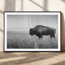 Bison Wall Art Canvas Print – Framed Rustic Wildlife Scene by MyGreatCanvas | Canvas Wall Art Prints | Photo Prints & Wall Decor