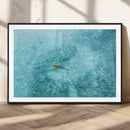 Fish Swarm Wall Art Canvas Print – Framed Aerial Shark and by MyGreatCanvas | Canvas Wall Art Prints | Photo Prints & Wall Decor