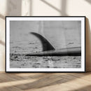 Black White Surfboard Wall Art Canvas Print – Framed by MyGreatCanvas | Canvas Wall Art Prints | Photo Prints & Wall Decor