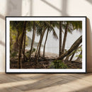 Tropical Jungle Wall Art Canvas Print – Framed Palm Tree by MyGreatCanvas | Canvas Wall Art Prints | Photo Prints & Wall Decor