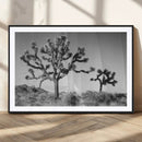Joshua Tree Wall Art Canvas Print – Framed Desert Tree Art by MyGreatCanvas | Canvas Wall Art Prints | Photo Prints & Wall Decor