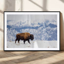 Bison Snow Wall Art Canvas Print – Framed Wildlife Scene by MyGreatCanvas | Canvas Wall Art Prints | Photo Prints & Wall Decor