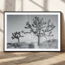 Joshua Tree Wall Art Canvas Print – Black and White Desert by MyGreatCanvas | Canvas Wall Art Prints | Photo Prints & Wall Decor