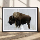 Bison Wall Art Canvas Print – Framed Western Wildlife