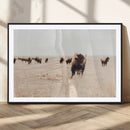 Bison Herd Wall Art Canvas Print, Framed Western Landscape by MyGreatCanvas | Canvas Wall Art Prints | Photo Prints & Wall Decor