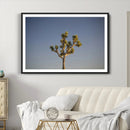 Joshua Tree Wall Art Canvas Print – Framed Southwestern