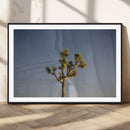 Joshua Tree Wall Art Canvas Print – Framed Southwestern by MyGreatCanvas | Canvas Wall Art Prints | Photo Prints & Wall Decor