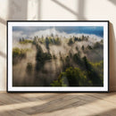 Tranquil Forest Wall Art Canvas Print – Framed Sunbeam by MyGreatCanvas | Canvas Wall Art Prints | Photo Prints & Wall Decor