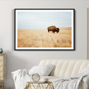 Buffalo Wall Art Canvas Print – Framed Western Wildlife