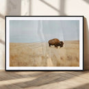 Buffalo Wall Art Canvas Print – Framed Western Wildlife by MyGreatCanvas | Canvas Wall Art Prints | Photo Prints & Wall Decor
