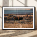 Western Framed Bison Wall Art Canvas Print by MyGreatCanvas | Canvas Wall Art Prints | Photo Prints & Wall Decor