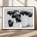 Buffalo Herd Wall Art Canvas Print – Framed Black and White by MyGreatCanvas | Canvas Wall Art Prints | Photo Prints & Wall Decor