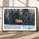 Wild Elk Wall Art Canvas Print – Framed Winter Wildlife by MyGreatCanvas | Canvas Wall Art Prints | Photo Prints & Wall Decor